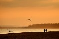 /album/sunsets/by-the-beach-jpg/
